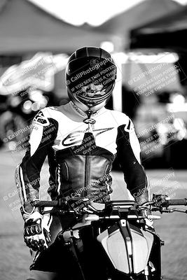 media/Mar-25-2024-Moto Forza (Mon) [[8d4319bd68]]/1-Around the Pits/